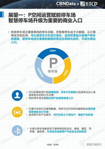 2017中國智慧停車行業(yè)大數據報告 數據驅動的停車革新